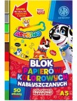 BLOK papierów kolorowych nabłyszczanych ASTRA A5 50ark.