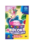 Astra BLOK TECHNICZNY KOLOROWY A4 10 kartek 170g