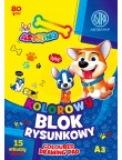 BLOK rysunkowy KOLOROWY A3 80g - 15 arkuszy ASTRA
